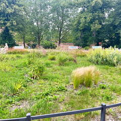 24-06-28 10-51-24 9971